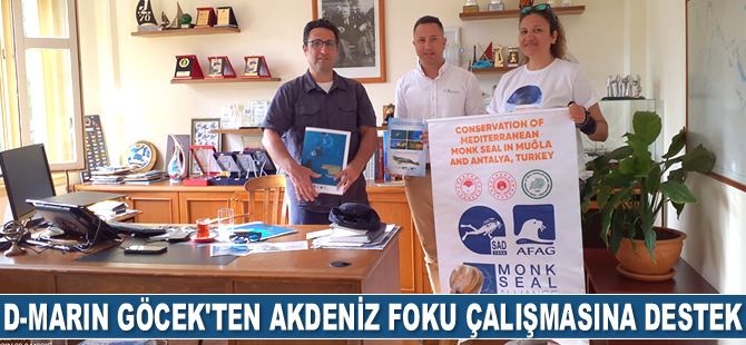 D-Marin Göcek, Akdeniz fokunun yaşam alanlarına kavuşmasına destek oluyor