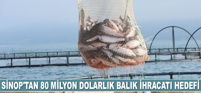 Sinop’tan 80 milyon dolarlık balık ihracatı yapılması planlanıyor