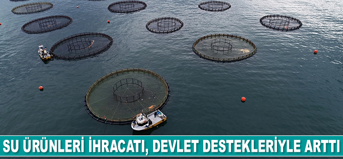 Su ürünleri ihracatı, devlet destekleriyle arttı