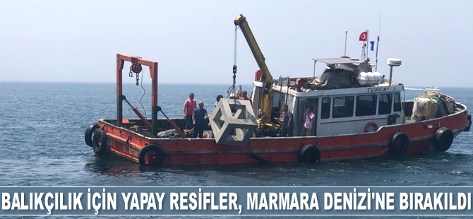 Balık popülasyonunun gelişimi için yapay resifler Marmara Denizi'ne bırakıldı