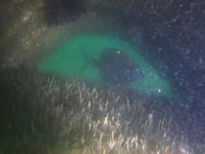 Mersin'de denize bırakılan yapay resiflerde canlı yaşam başladı