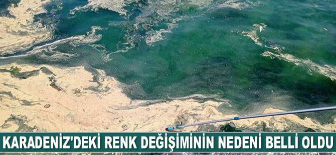 Karadeniz'deki renk değişiminin nedeni belli oldu