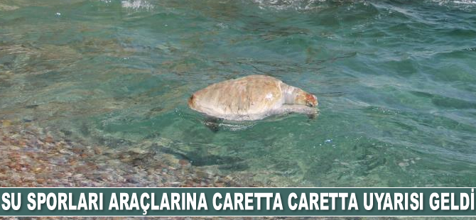 Su sporları araçlarına caretta caretta uyarısı geldi