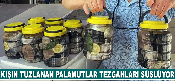 Sinop'ta kışın tuzlanan palamutlar tezgahları süslüyor