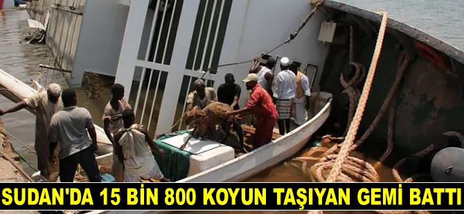 Sudan'da 15 bin 800 koyun taşıyan Badr 1 isimli gemi battı