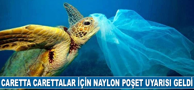 Caretta carettalar için naylon poşet uyarısı geldi