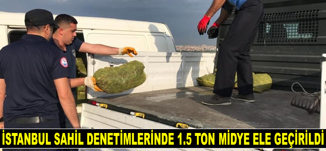 İstanbul sahil denetimlerinde 1.5 ton kara midye ele geçirildi