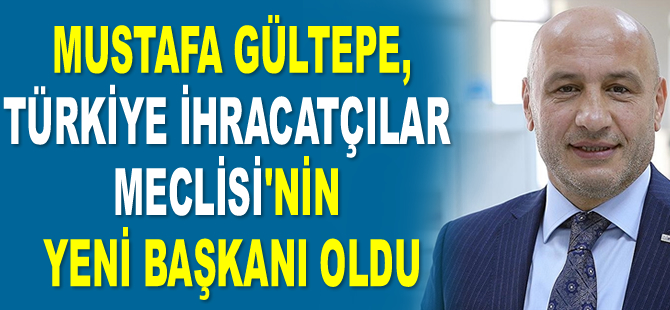 Mustafa Gültepe, TİM'in yeni başkanı oldu