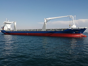 SMP ARKHANGELSK isimli gemi, Tuzla'da arızalandı