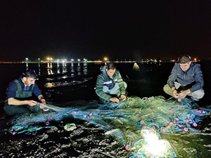 Van Gölü’nde inci kefali denetimleri sürüyor