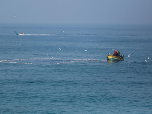 İsrail askerleri, Gazze'de Filistinli 3 balıkçıyı yaraladı