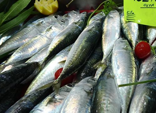 Çanakkale'de balık tezgahlarında fiyatlar arttı