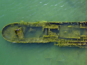 Okyanusta kaybolan milyonlarca gemi enkazı, derin denizdeki hayatı değiştiriyor