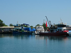 Ordu’da balıkçı tekneleri yeni yeni sezona hazırlanıyor