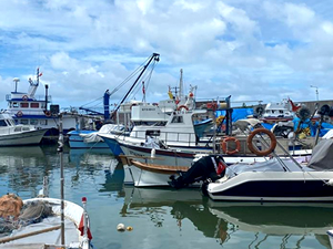Balıkçılar, yeni sezonda palamudun bol olmasını bekliyor