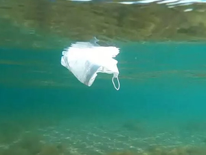 Karadeniz’de 15 farklı plastik türü tespit edildi