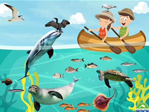 TURMEPA Masmavi Deniz Eğitim Kampı,10. kez kapılarını açtı