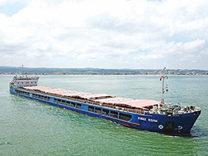 Ukrayna, tahıl için Tuna formülünü gündemine aldı