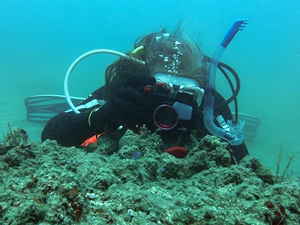 Fotoğraf tutkunları, Mersin kıyılarındaki su altı kanyonları için dalıyor