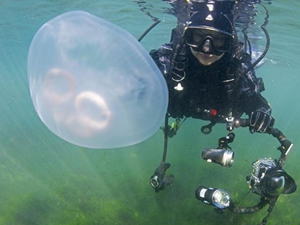 Gemlik Körfezi, su altı kamerasıyla görüntülendi