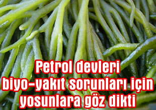 Petrol devleri araştırmaya yatırım yapıyor