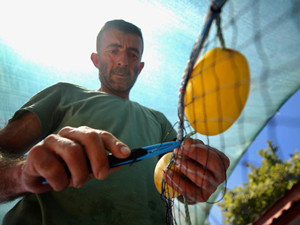 Düzce'de balıkçılar, yeni sezona hazırlanıyor