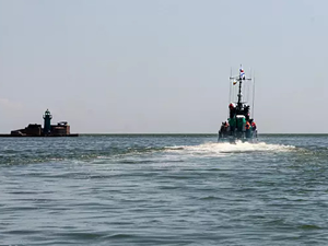 Ukrayna Savaşı'nda kullanılan sonar cihazlar, yunus ölümlerine neden oluyor