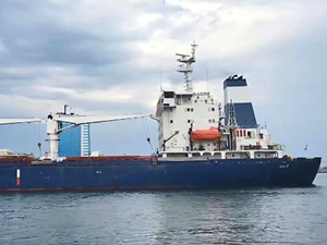 Ukrayna'dan yola çıkan tahıl gemileri nasıl sigortalanacak?