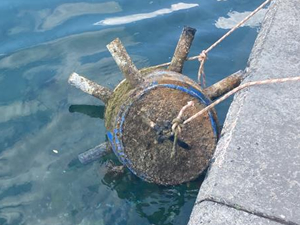 İstinye sahilinde paniğe neden olan cisim tonoz çıktı