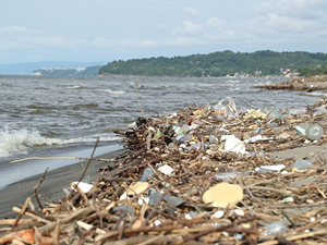 Kıyılardaki çöplerin yolculuğunu akıntı yönleri belirliyor