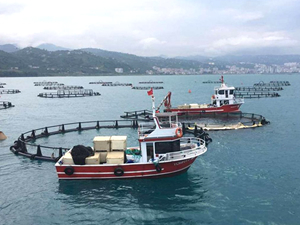 Türkiye, 106 ülkeye su ürünleri ihraç ediyor