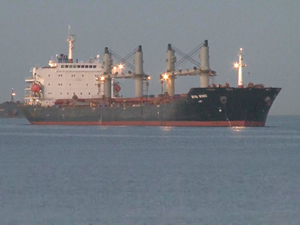 Ukrayna’dan yola çıkan tahıl yüklü ‘Glory’ ve ‘Riva Wind’ gemileri, İstanbul Boğazı’ndan geçti
