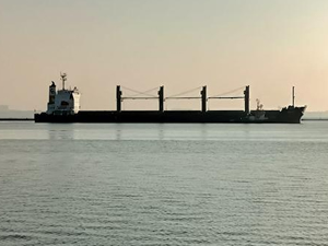 Ukrayna'dan tahıl taşıyan 2 gemi daha yola çıktı