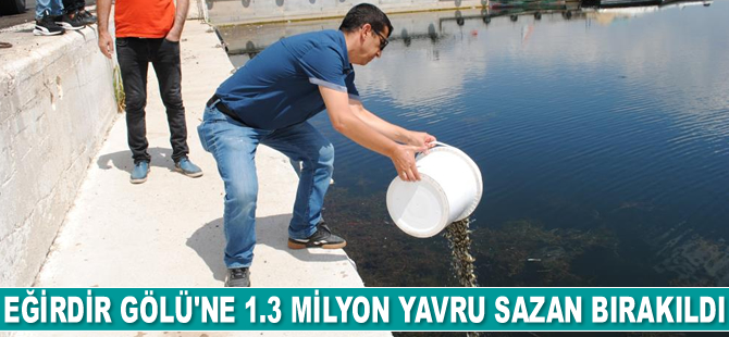 Eğirdir Gölü'ne 1.3 milyon yavru sazan bırakıldı