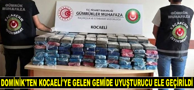 Dominik’ten Kocaeli’ye gelen gemide 246 kilo uyuşturucu ele geçirildi