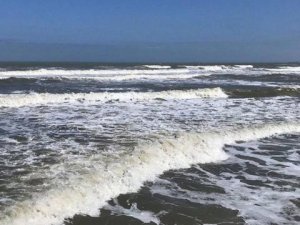 Sakarya ve Kocaeli'deki plajlarda denize girmek yasaklandı