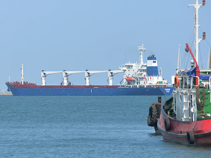 Razoni gemisi, yükünün bir kısmını Mersin Limanı'na boşaltacak