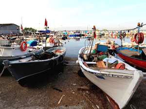 Kocaeli Büyükşehir Belediyesi, balıkçılara destek paketi dağıtacak