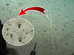 Okyanus tabanında delikler keşfedildi