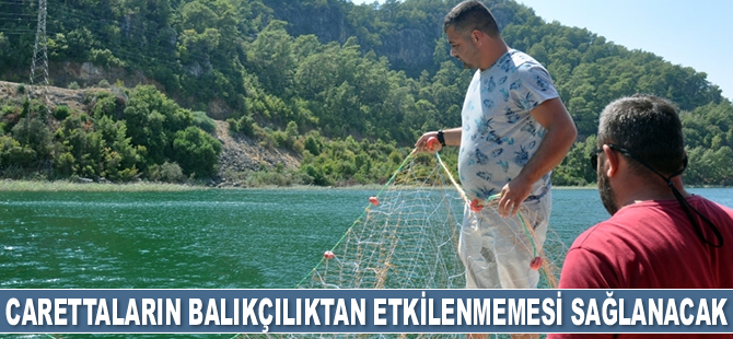 Deniz kaplumbağalarının balıkçılık faaliyetlerinden etkilenmemesi sağlanacak