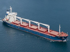 Ukrayna’dan yola çıkan ilk tahıl gemisi Suriye’ye demirledi