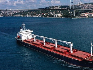 Ukrayna'nın limanlarından yola çıkacak gemiler için yeni rota belirlendi