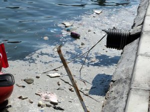 Foça'da denizde kirlilik tedirginliği