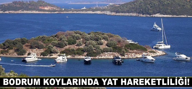 Bodrum'un maviyle yeşilin bütünleştiği koylarında yat hareketliliği yaşanıyor