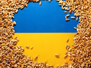 Tahıl sevkiyatı kapsamında Ukrayna'dan 9 gemi daha hareket etti