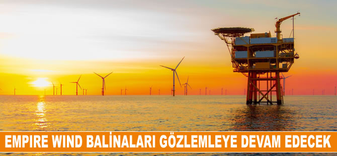 Empire Wind Geliştiricileri Büyük Balinaları Gözlemlemeye Devam Edecek