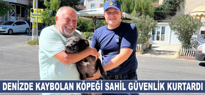 Sahibiyle Yüzerken Denizde Kaybolan Köpeği Sahil Güvenlik Kurtardı
