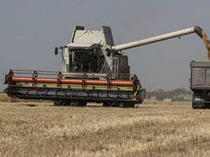 Tahıl sevkiyatı kapsamında 6 gemi daha Ukrayna limanlarından hareket etti