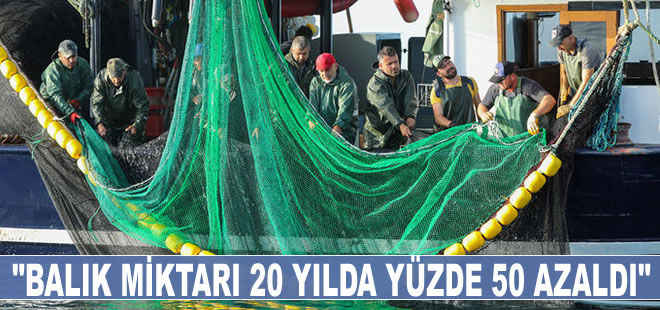 "Balık miktarı geçen 20 yılda yüzde 50 azaldı"