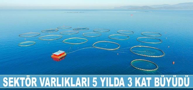 Balıkçılık sektörünün varlıkları 5 yılda 3 katına çıktı